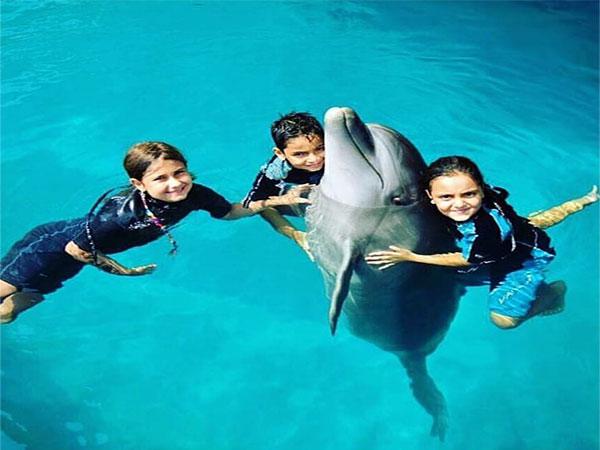 شنا با دلفین مجموعه پارک دلفین کیش